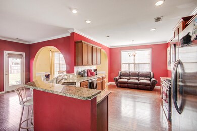 132 Carolina Wren Moncks Corner SC (8).