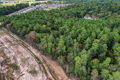 7810 Red Oak Rd, Magnolia, TX 77354 - photo 2