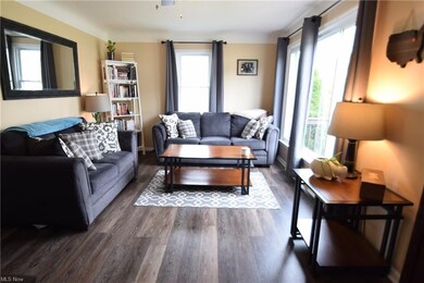 Living Room, Beautiful vinyl planket flooring