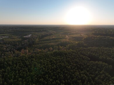 170 Mountain Pine Rd unit Tract 7, Mabelvale, AR 72103 - photo 4