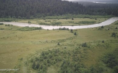 more knig slough lots shot