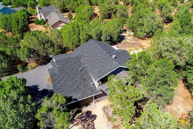 cheney-9