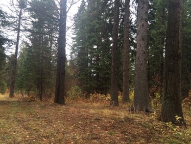 3 Allen Rd unit 69, Cascade, ID 83611 - photo 6