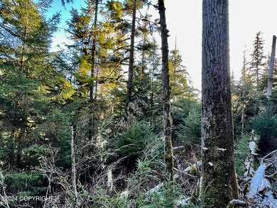 L9 B5 Beach Rd, Whale Pass, AK 99921 - photo 5