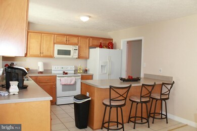 118 Steepwood Ln, Winchester, VA 22603 - photo 2