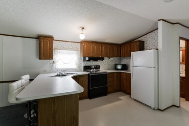 66 Cloe Ln, Reeds Spring, MO 65737 - photo 4