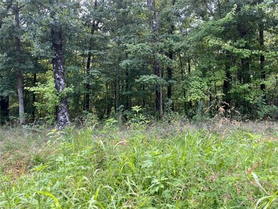 0 Burnham Dr, Bella Vista, AR 72715 - photo 2