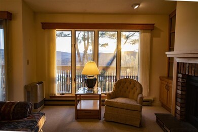 463 Alden Partridge Rd unit 4B, Hartford, VT 05001 - photo 4