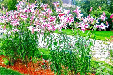 94 Central St, Narragansett, RI 02882 - photo 7