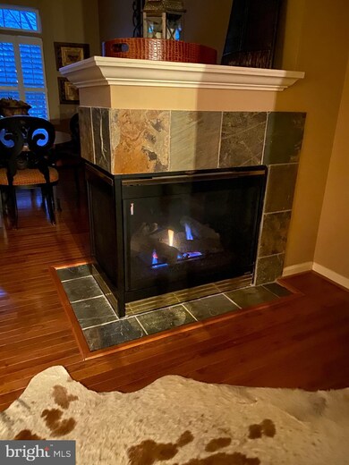 235 Teapot Ct, Reisterstown, MD 21136 - photo 5