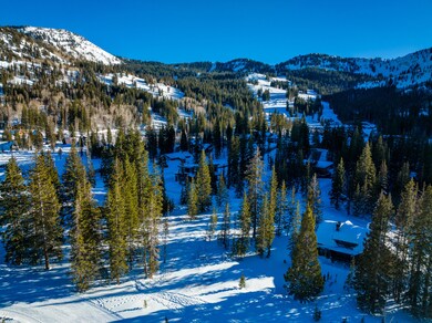 20220110-DJI_0218