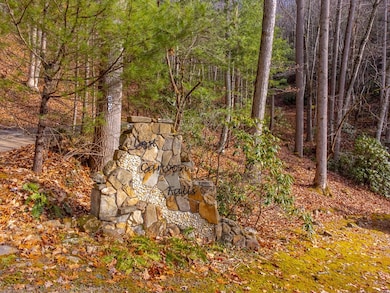 2001 Little Ellijay Rd, Franklin, NC 28734 - photo 2