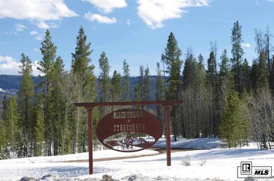 33230 Filly Trail, Oak Creek, CO 80467 - photo 4