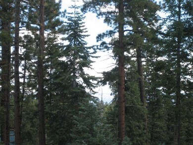 Mature Trees