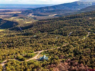 20101 Squirrel Rock Rd, Cedaredge, CO 81413 - photo 3