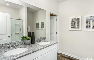 300 Climbing Vine Ct unit Ibis TD109 Lot 1, Conway, SC 29526 - photo 5