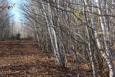 89 W View Ln, Bridgton, ME 04009 - photo 6