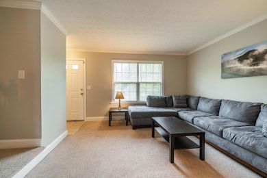 New paint throughout entire house