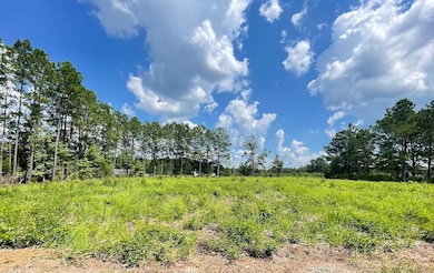 0 Tbd Barfield Rd unit LotWP004 21520544, Nichols, SC 29581 - photo 2