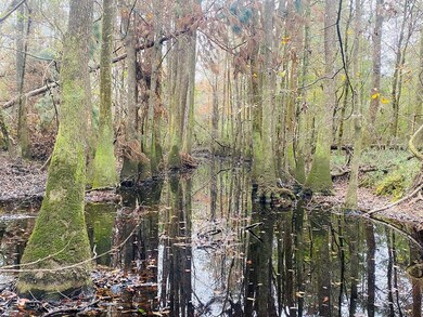 unlisted-address, Osyka, MS 39657 - photo 7