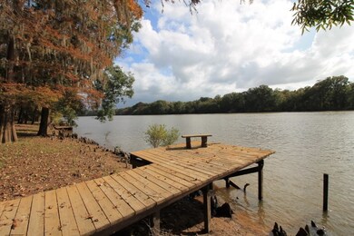 1125 McNatt Falls Rd, Uvalda, GA 30473 - photo 3