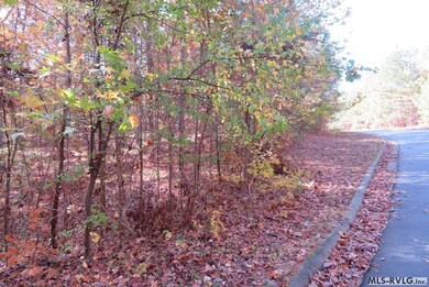 LOT 59 Lake Pointe Dr, Roanoke Rapids, NC 27870 - photo 7