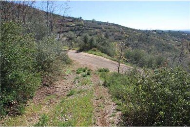 View down to the road from lower part of driveway
