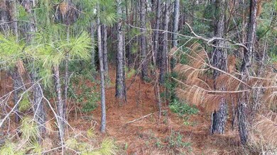 Lot S3 Wedgefield Rd, Georgetown, SC 29440 - photo 4