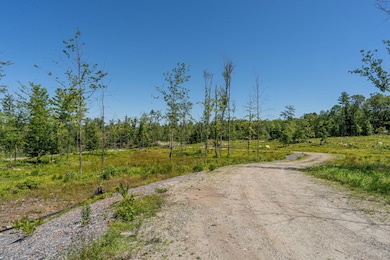 M13L30 Clarks Bridge Rd, Waterboro, ME 04061 - photo 3