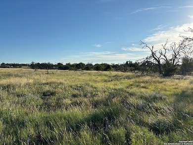 183 Lipan Loop, Harper, TX 78631 - photo 7