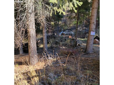 0 River Canyon Rd unit TL 900, Imnaha, Or, OR 97842 - photo 7