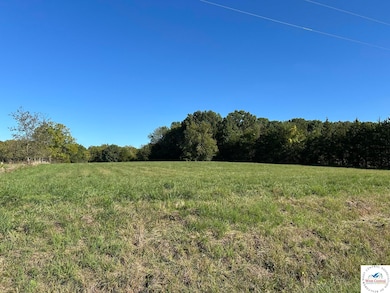 0000 Shenandoah, Tom Township, MO 65355 - photo 4