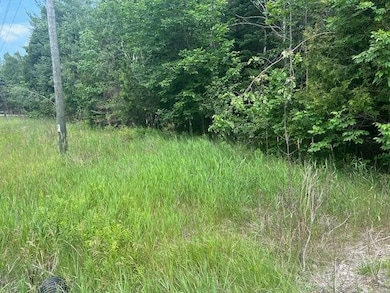 TBD Elder Rd, Carp Lake, MI 49718 - photo 7