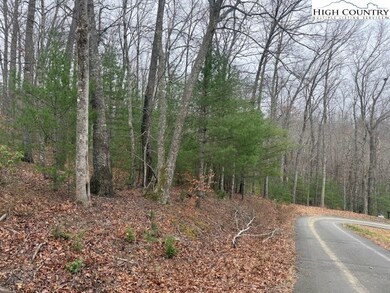 TBD Clearview Ridge, Crumpler, NC 28617 - photo 6