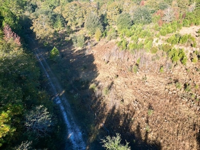 Virginia Rd unit LotWP001, Dorchester, SC 29437 - photo 6