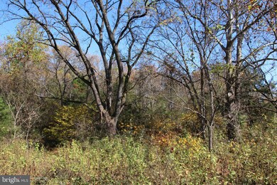 0 Tree Farm Ln, South River, VA 22610 - photo 5