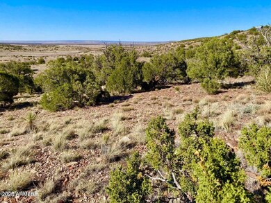 TBD Co Rd 5062 Lot 1 3 53 Acres --, Concho, AZ 85924 - photo 6