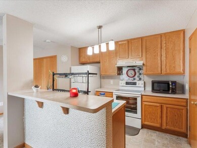 7087 139th Ave NW, Anoka, MN 55303 - photo 5