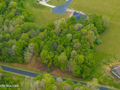 323 Noah Ln, Crossville, TN 38555 - photo 5