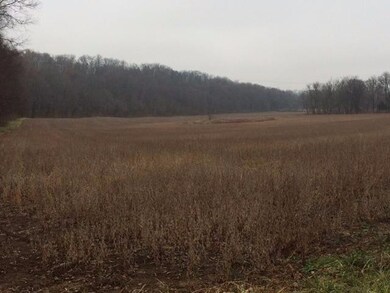 363 Holt Ln, Frankfort, KY 40601 - photo 7