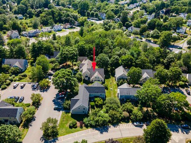 DJI_0463