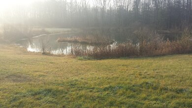 pond