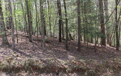 L3475 Cherry Ct, Ellijay, GA 30540 - photo 2