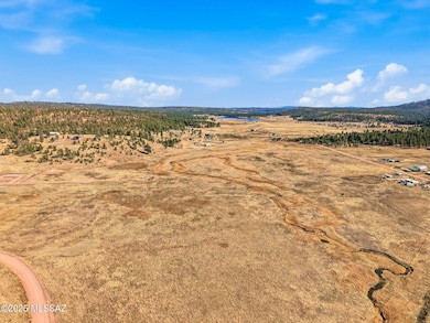 Lot 25 the Ranch at Alpine unit 25, Alpine, AZ 85920 - photo 5