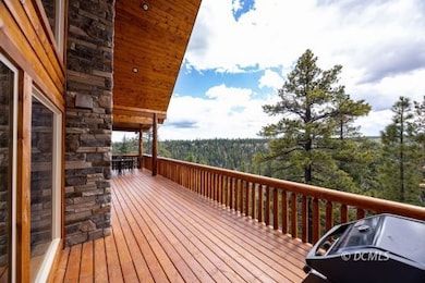 Large Deck