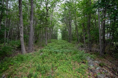 0 Wildes District Rd, Kennebunkport, ME 04046 - photo 7