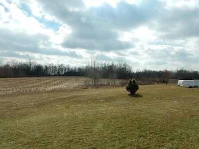 Back Field