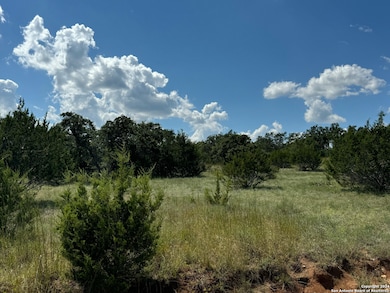 114 Peter Kleid Loop, Blanco, TX 78606 - photo 7