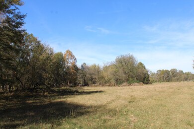 12000 Center Hill Rd, Mineral Wells, MS 38654 - photo 5
