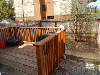 Back Porch